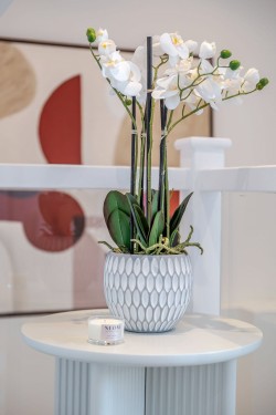 Images for Edinburgh, Midlothian