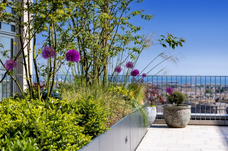 Images for Elder Street, St James Quarter, Edinburgh