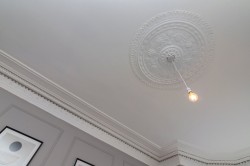 Images for Dennistoun, Glasgow City