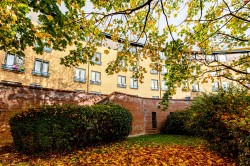 Images for Glasgow Green, Glasgow City