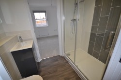 Images for Guelder Rose, Dunmow, Essex