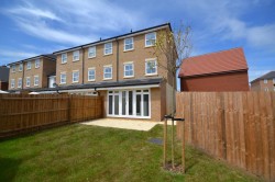 Images for Guelder Rose, Dunmow, Essex