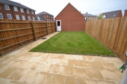 Images for Guelder Rose, Dunmow, Essex