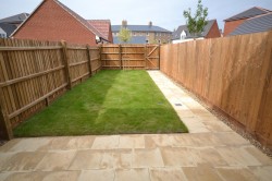 Images for Guelder Rose, Dunmow, Essex