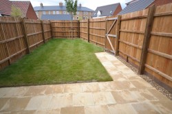 Images for Guelder Rose, Dunmow, Essex