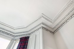 Images for Botanics, Glasgow