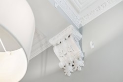 Images for Botanics, Glasgow