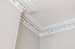 Images for Botanics, Glasgow