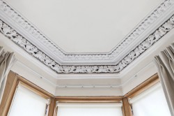 Images for Botanics, Glasgow