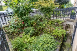 Images for Botanics, Glasgow