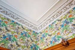 Images for Park, Glasgow