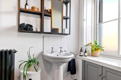 Images for Botanics, Glasgow