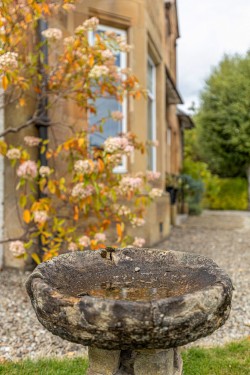 Images for Elderslie, Johnstone