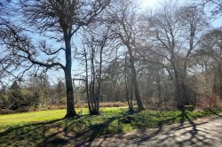 Images for Eaglesham, East Renfrewshire