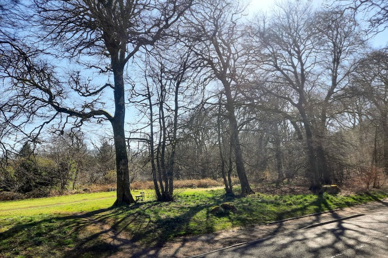 Images for Eaglesham, East Renfrewshire