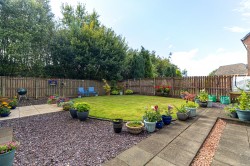 Images for Darnley, Glasgow