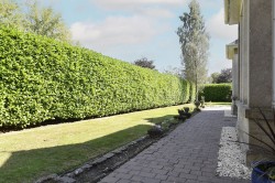 Images for Giffnock, Glasgow, East Renfrewshire