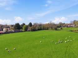 Images for Ingatestone, Essex