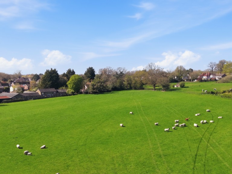 Images for Ingatestone, Essex