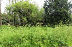 Images for Ongar, Essex
