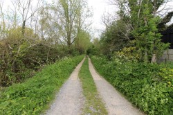 Images for Ongar, Essex