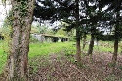 Images for Ongar, Essex