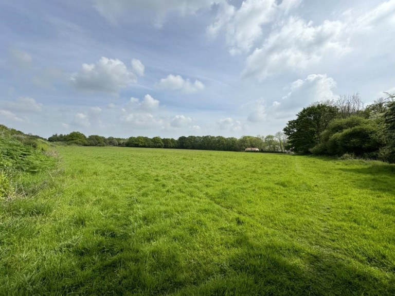 Images for Gosfield, Braintree, Essex