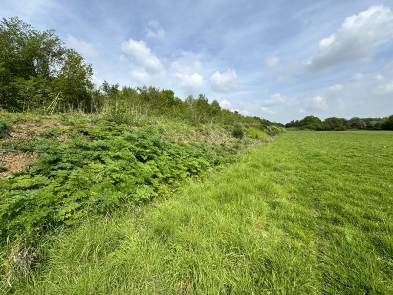 Images for Gosfield, Braintree, Essex