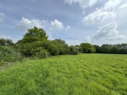 Images for Gosfield, Braintree, Essex