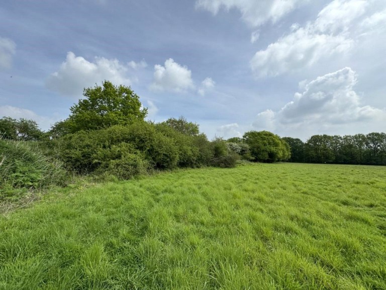 Images for Gosfield, Braintree, Essex