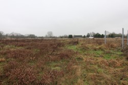 Images for Dunmow, Essex