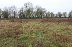 Images for Dunmow, Essex