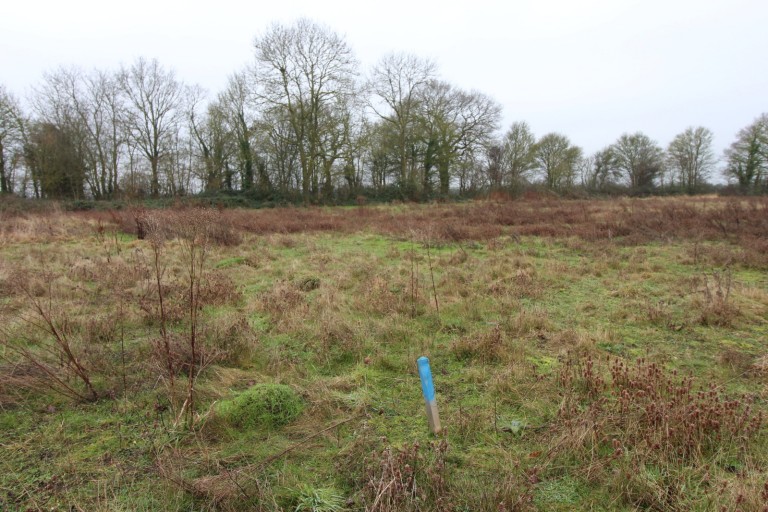 Images for Dunmow, Essex