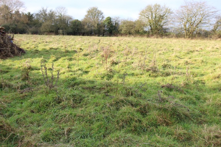 Images for Brentwood, Essex