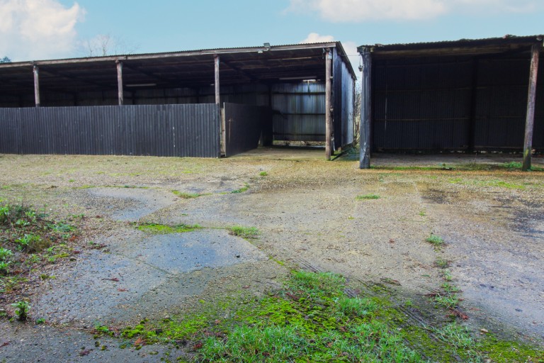 Images for Brentwood, Essex