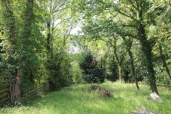 Images for Billericay