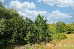 Images for South Woodham Ferrers, Chelmsford, Essex