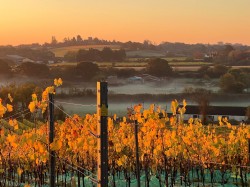 Images for Purleigh, Chelmsford, Essex