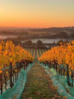 Images for Purleigh, Chelmsford, Essex