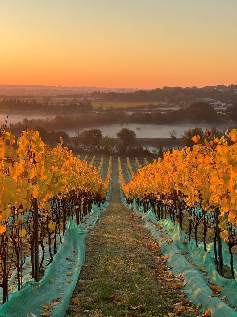 Images for Purleigh, Chelmsford, Essex