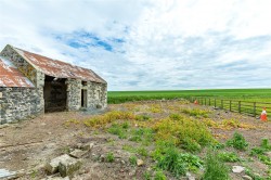 Images for Duns, Scottish Borders
