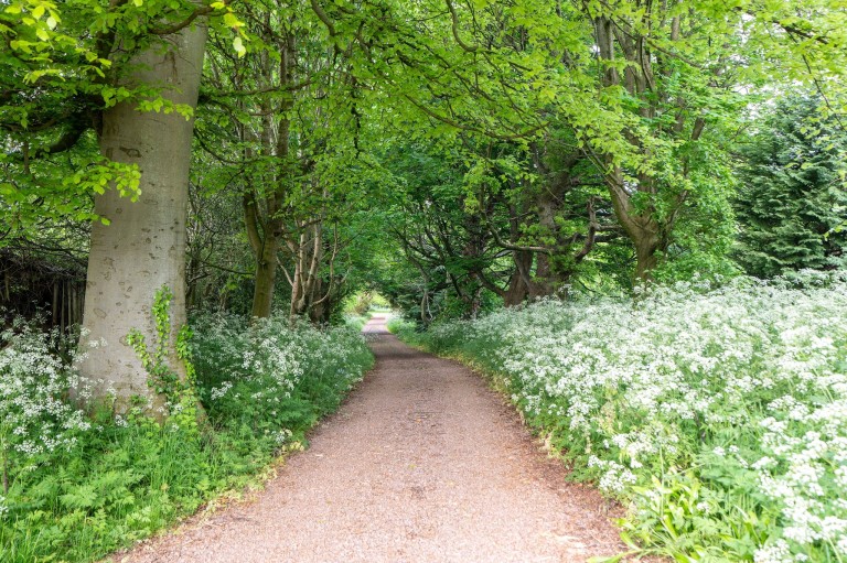 Images for East Lothian