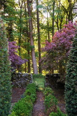 Images for Scottish Borders