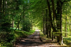 Images for Scottish Borders