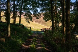 Images for Scottish Borders