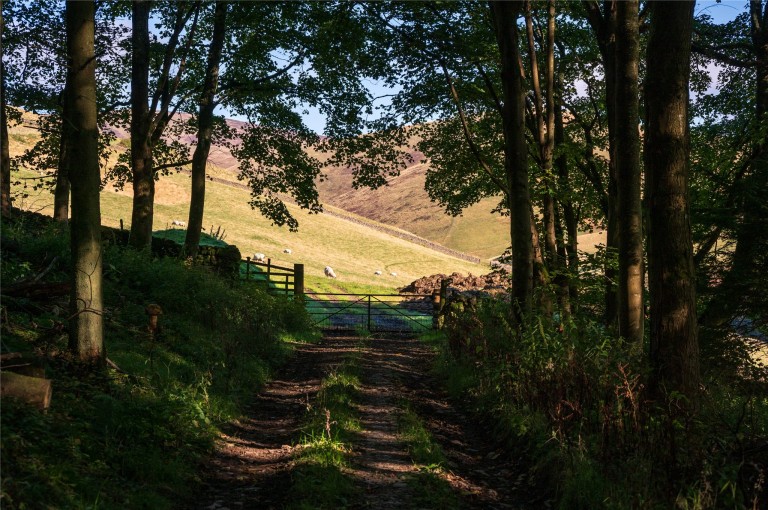 Images for Scottish Borders