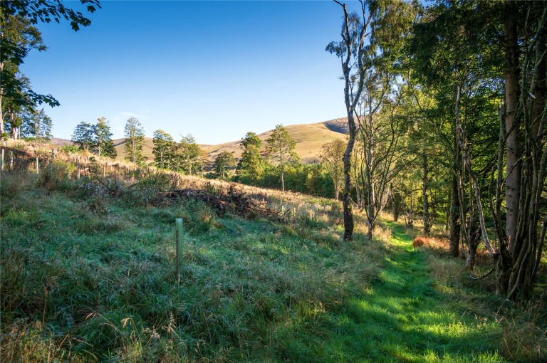 Images for Scottish Borders