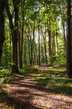 Images for Scottish Borders