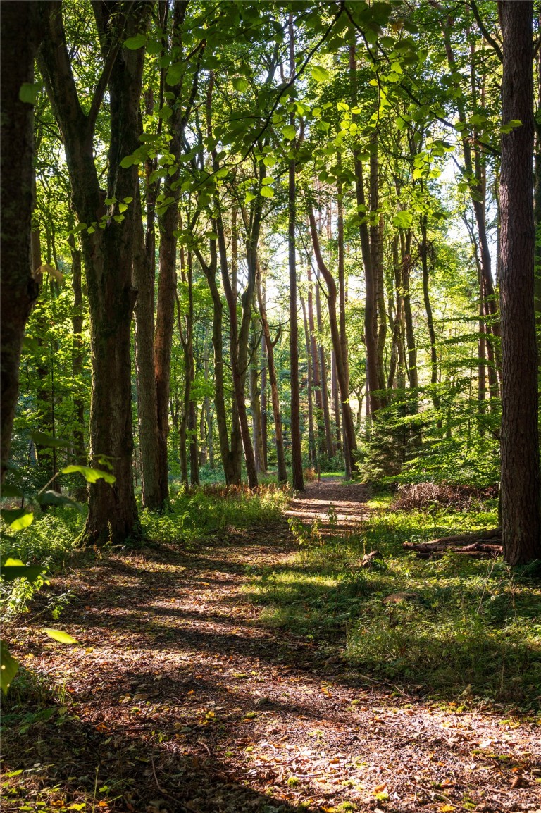 Images for Scottish Borders