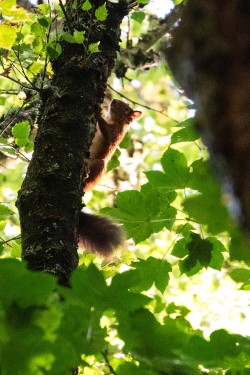 Images for Scottish Borders